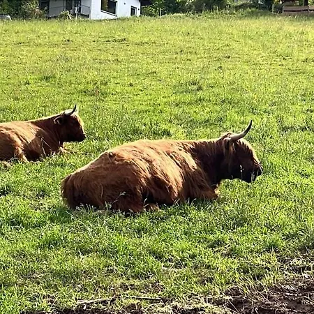 Panorama I Heated Jacuzzi & Fire Pit 펜션 *