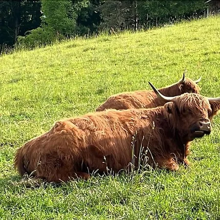Panorama I Heated Jacuzzi & Fire Pit * 바트순덴알렌도르프