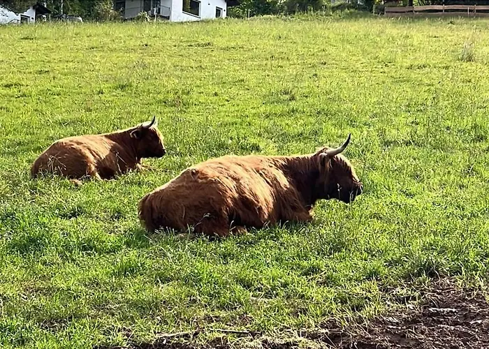 Panorama I Heated Jacuzzi & Fire Pit Nyaraló *