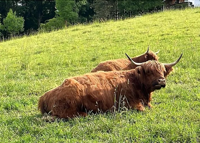 Panorama I Heated Jacuzzi & Fire Pit * Bad Sooden-Allendorf